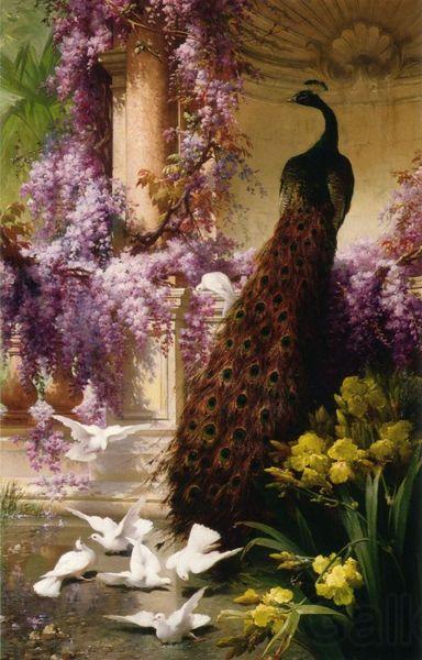 Eugene Bidau A Peacock and Doves in a Garden Norge oil painting art